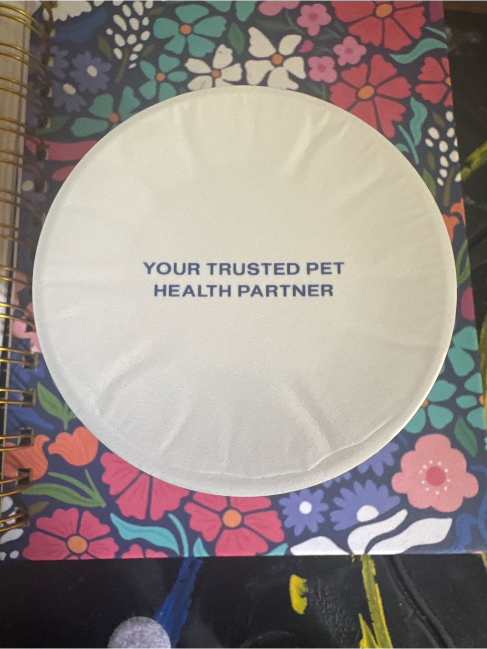 PetLabCo. Probiotic Chew for Dogs - $30 for 2. - Picture 5 of 7